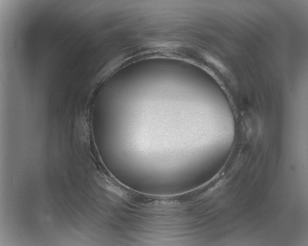 X0000069801354200605191053