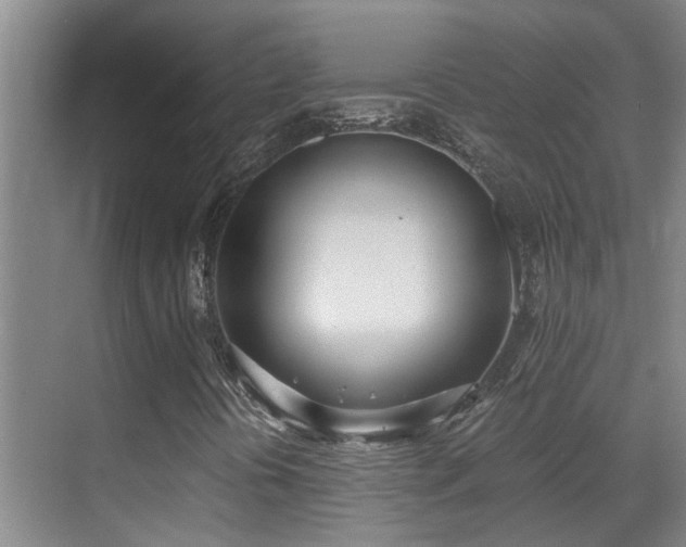 X0000069801394200605191052