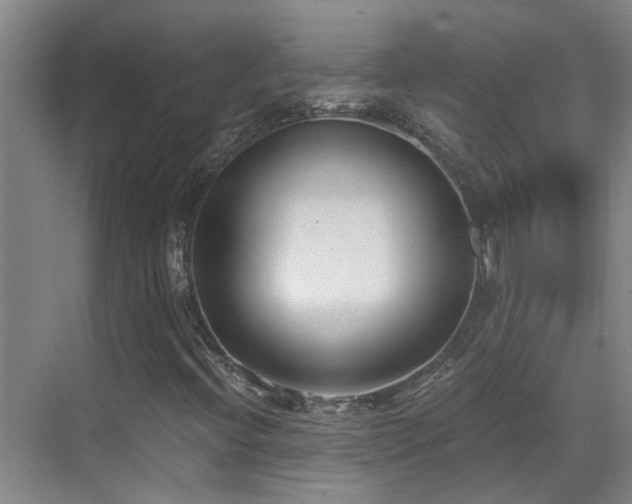 X0000069801396200605191052