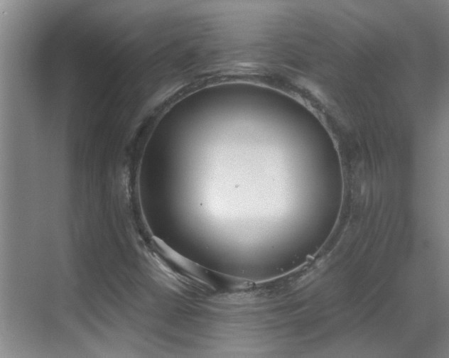X0000069801402200605191052
