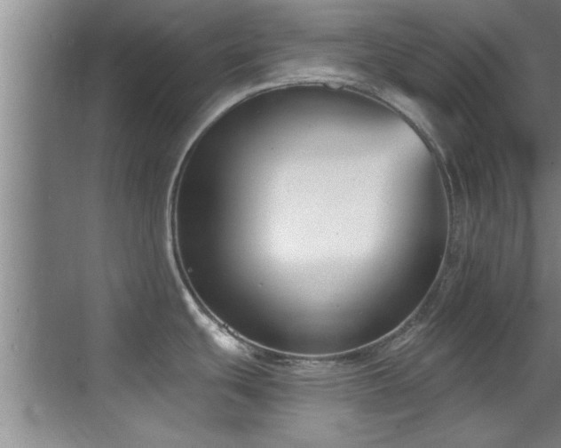X0000069801439200605191053
