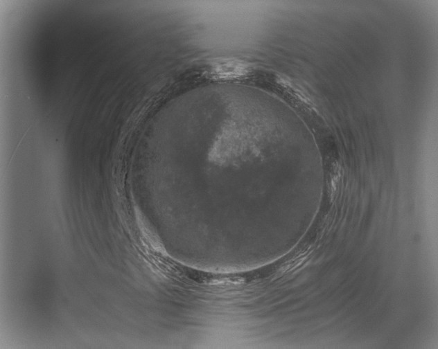 X0000069801441200605191052