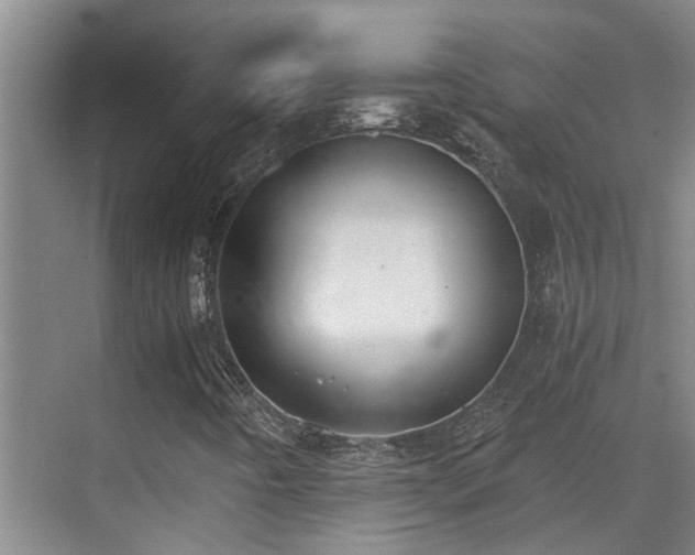X0000069801442200605191052
