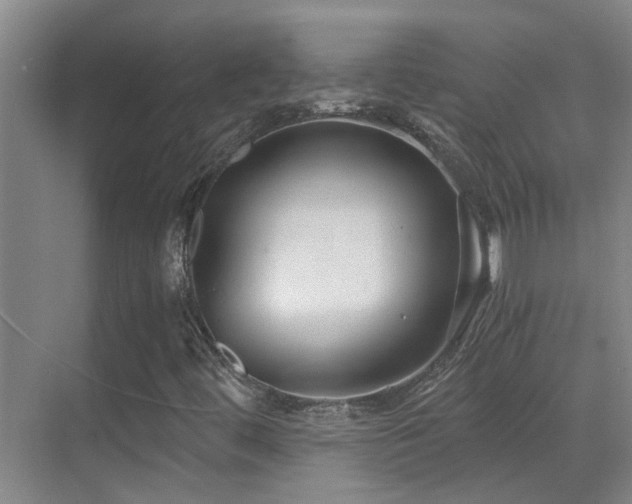 X0000069801444200605191052
