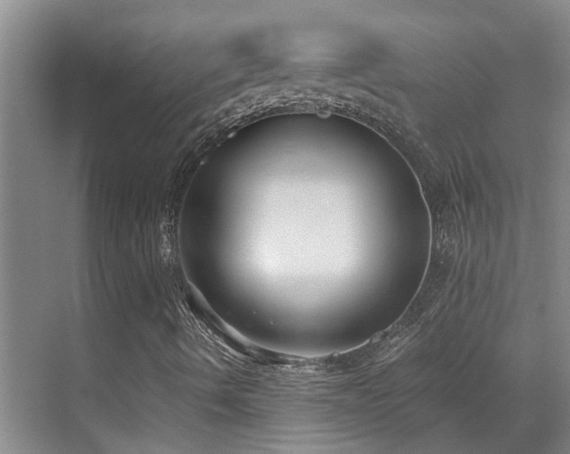 X0000069801490200605191050