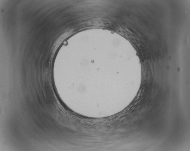 X0000069800003200605221151
