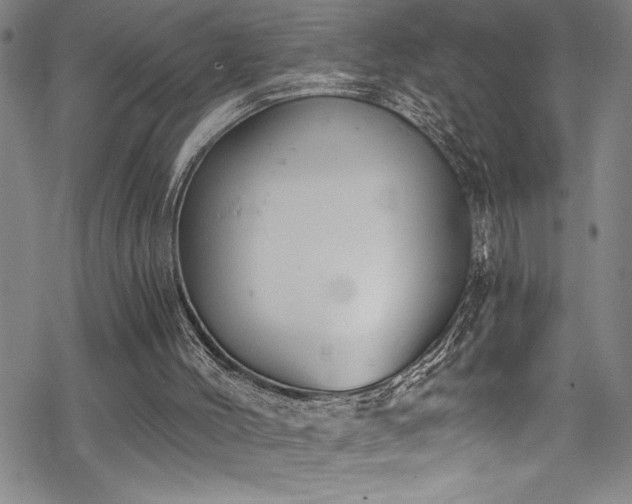 X0000069800004200605221151