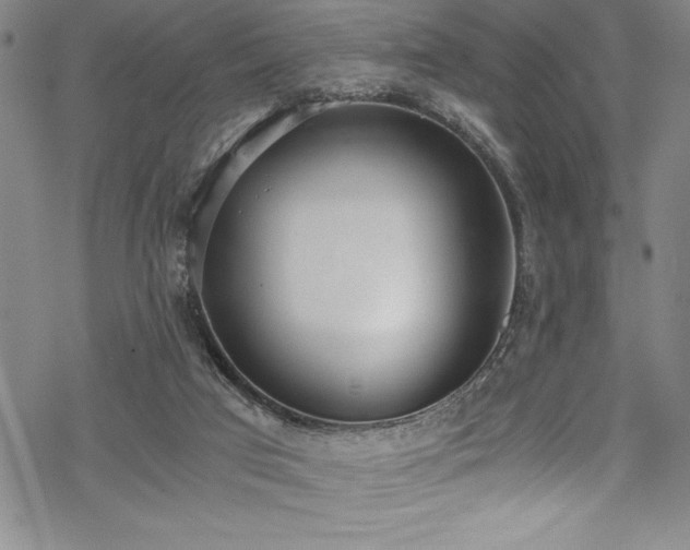 X0000069800017200605221151