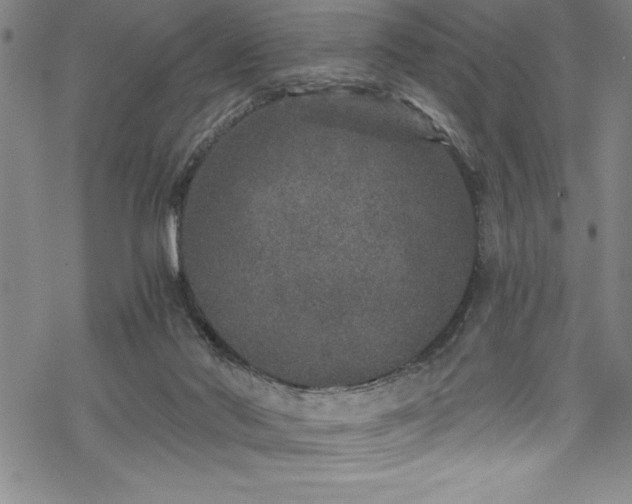 X0000069800022200605221151