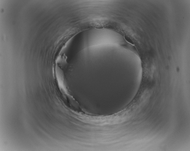X0000069800027200605221151