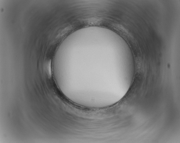 X0000069800028200605221151