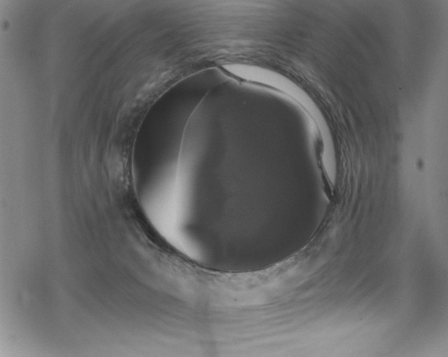X0000069800031200605221150