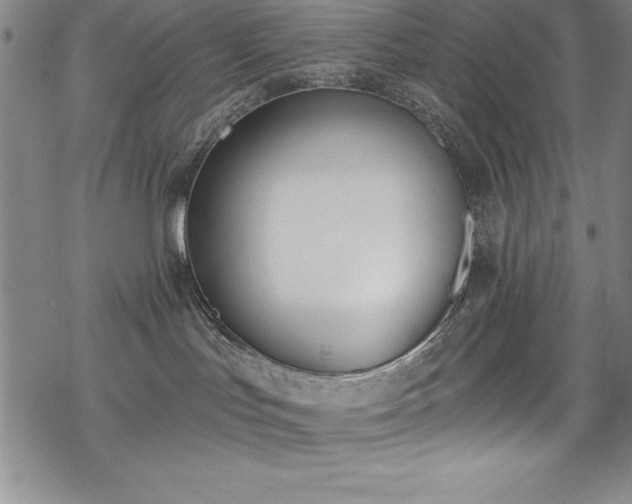 X0000069800047200605221150