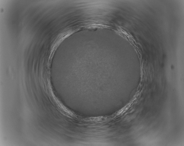 X0000069800049200605221149