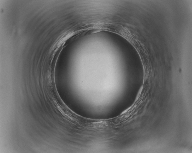 X0000069800050200605221149