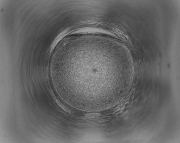 X0000069800051200605221149
