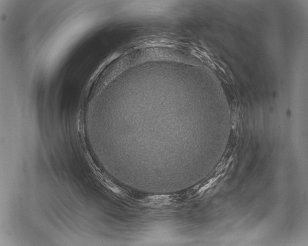X0000069800052200605221150