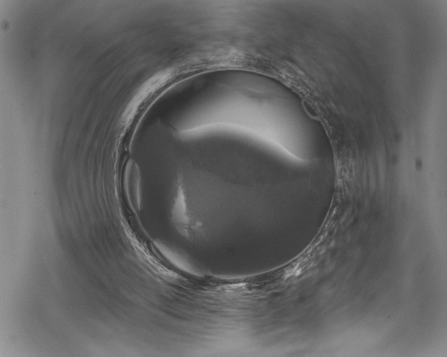X0000069800054200605221150
