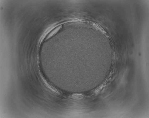 X0000069800055200605221150