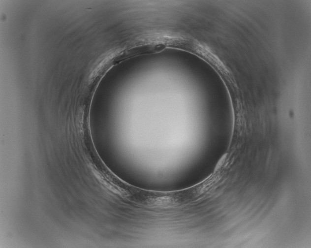 X0000069800058200605221150