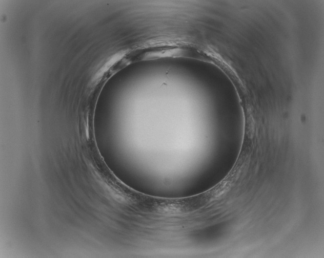X0000069800062200605221150