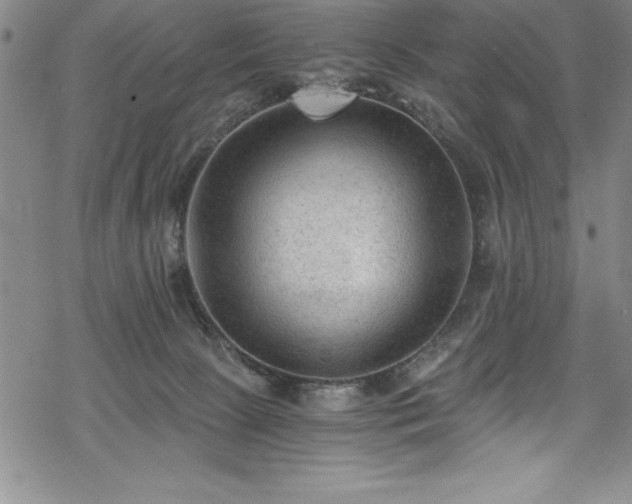 X0000069800081200605221150