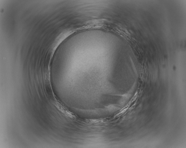 X0000069800100200605221149