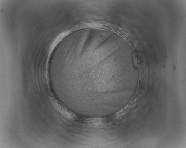 X0000069800104200605221149