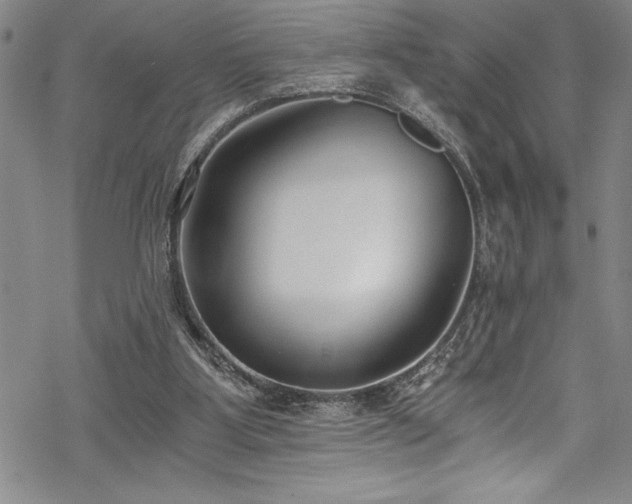 X0000069800107200605221149