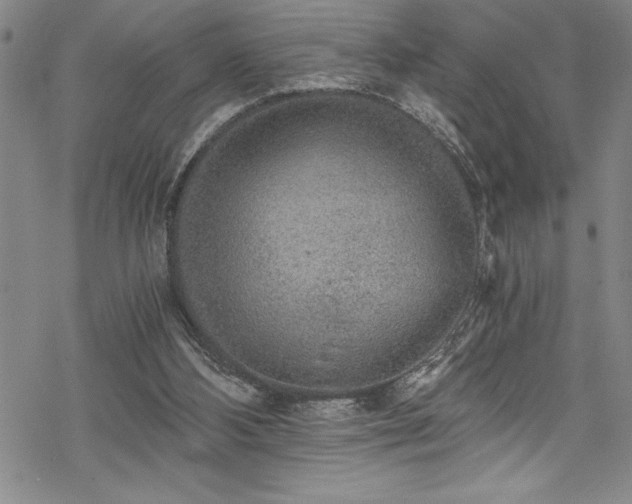 X0000069800108200605221149