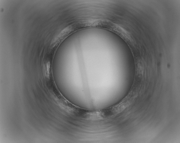 X0000069800118200605221149