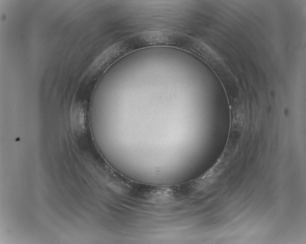 X0000069800124200605221149