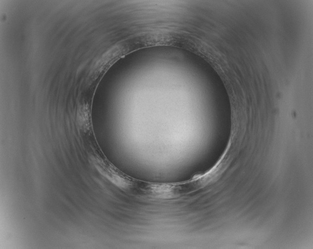 X0000069800144200605221149
