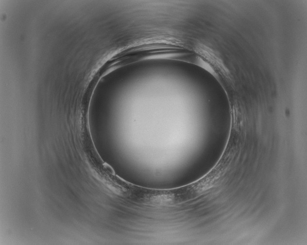 X0000069800156200605221148