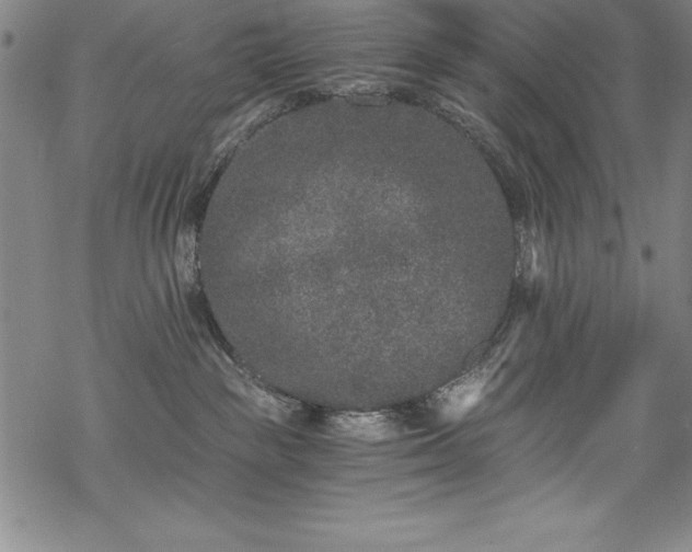 X0000069800189200605221149
