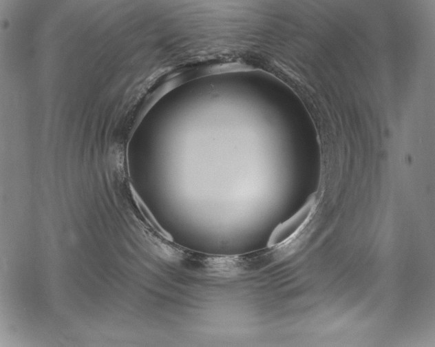 X0000069800192200605221149