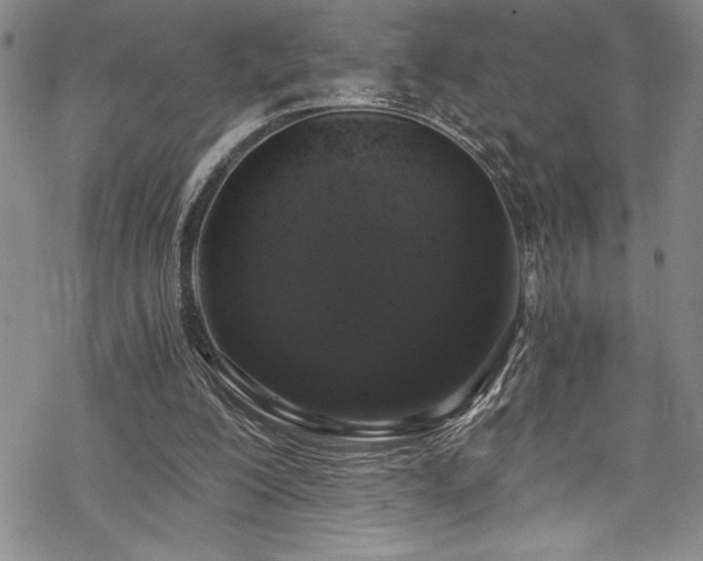 X0000069800200200605221148