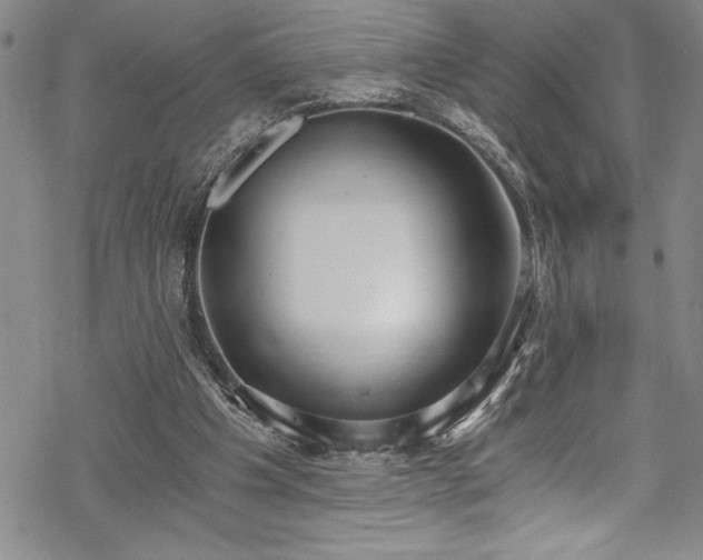 X0000069800201200605221148