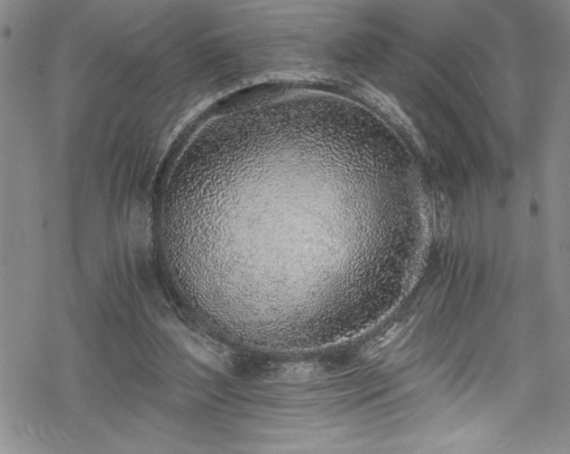 X0000069800204200605221148