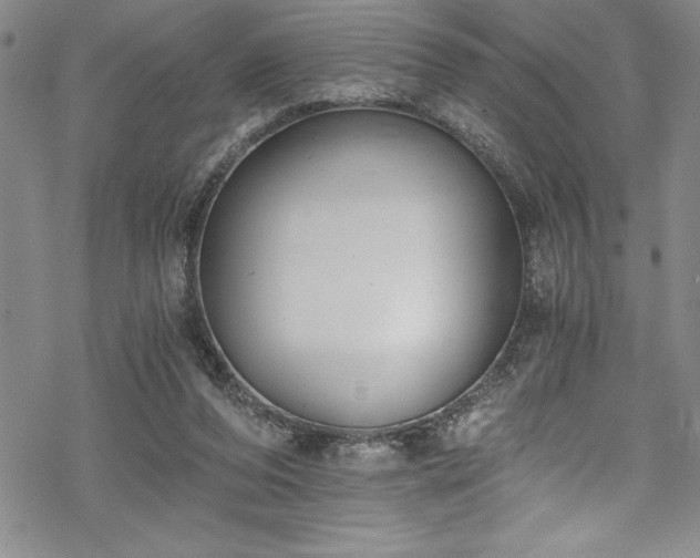 X0000069800208200605221148