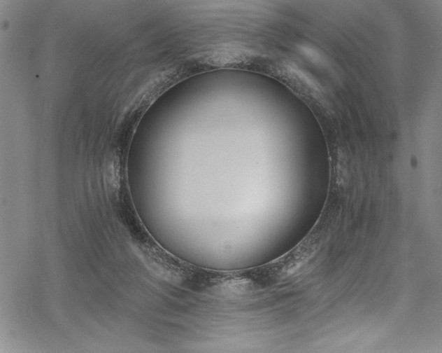 X0000069800210200605221148