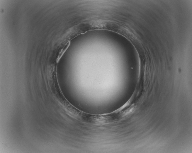 X0000069800229200605221147
