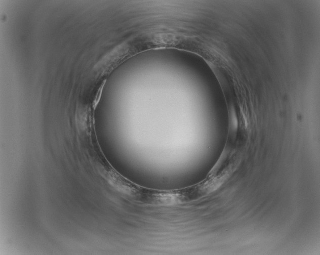 X0000069800233200605221147