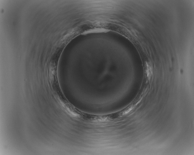 X0000069800235200605221147