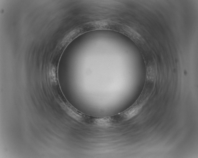 X0000069800238200605221147