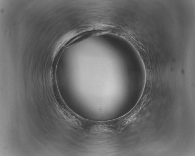 X0000069800244200605221146