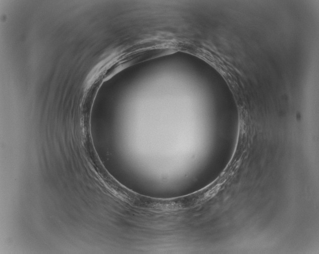 X0000069800245200605221146