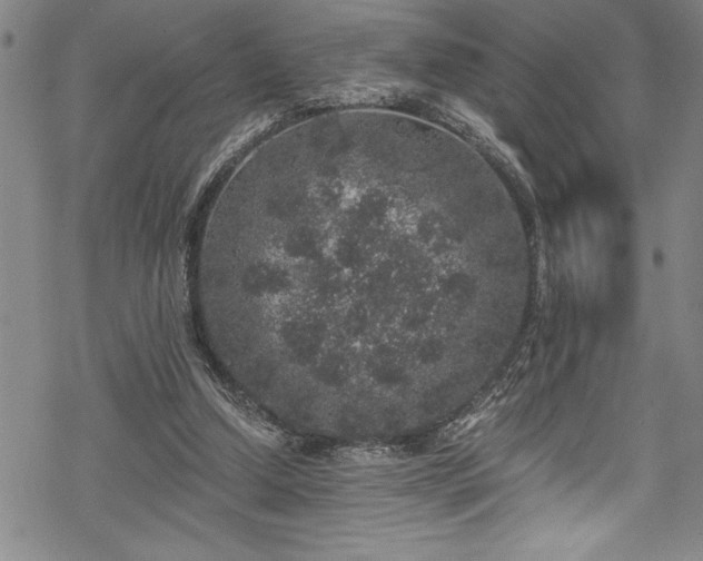 X0000069800250200605221147