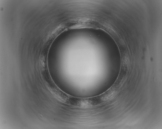 X0000069800264200605221147