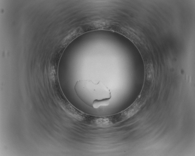 X0000069800279200605221147